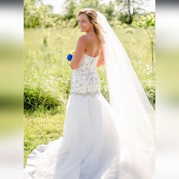 Wedding Dress and Vail - Picture 2 of 3